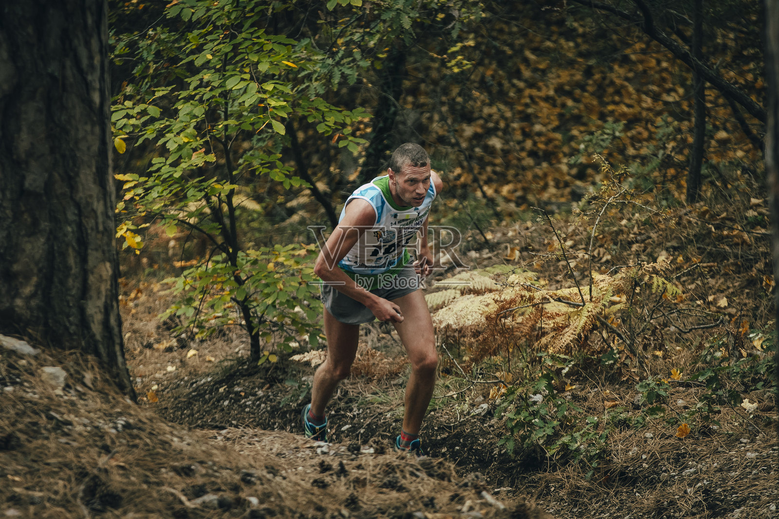 年轻运动员在秋季森林中奔跑照片摄影图片