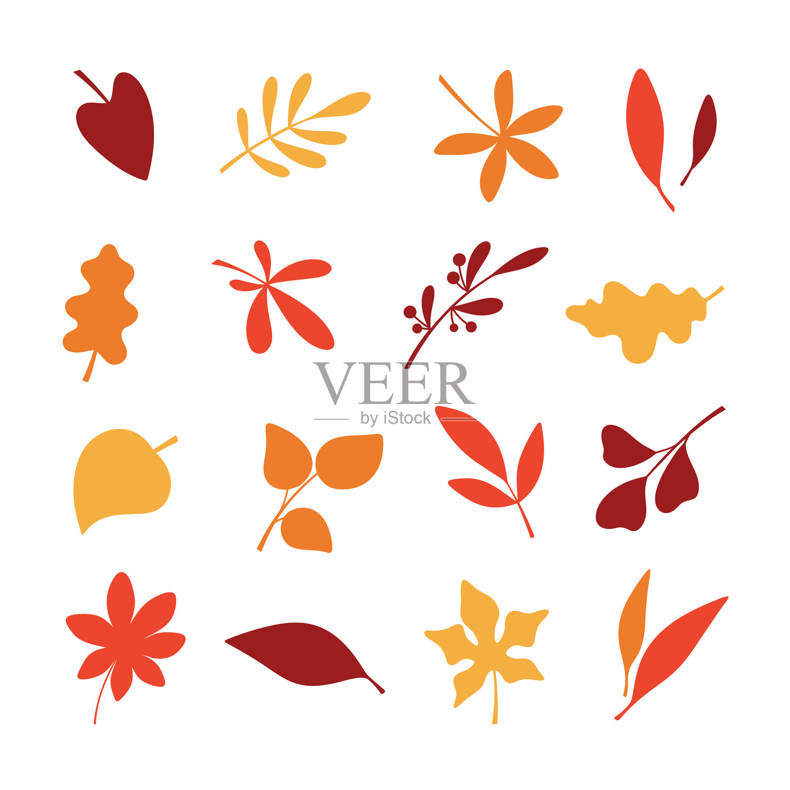 一组不同的彩色秋叶，孤立在白色背景上，矢量插图，扁平设计插画图片素材