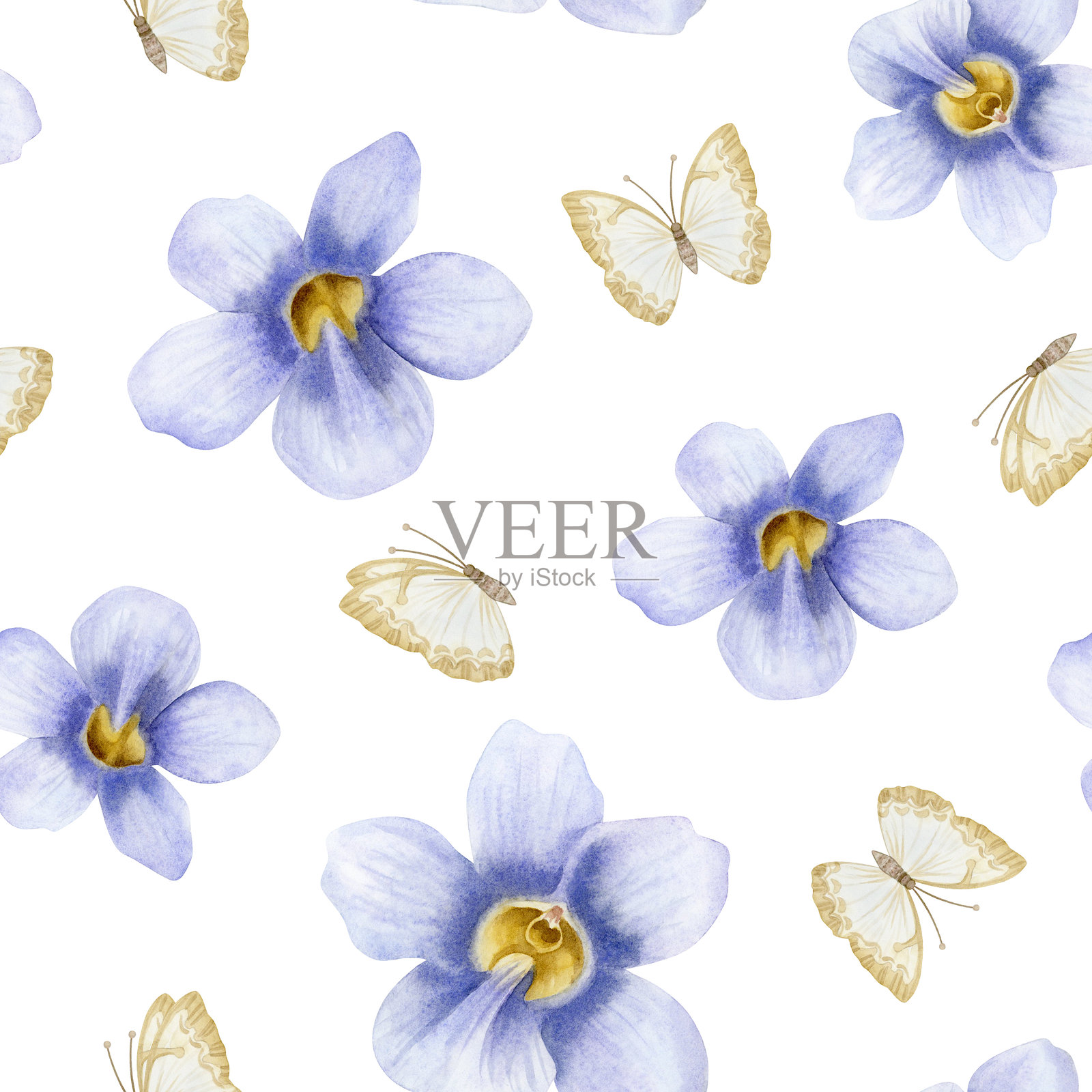 淡紫色的牵牛花与蝴蝶在白色背景上的无缝图案。手绘的紫色阔叶藤植物背景。复古的花卉艺术展现了花园自然之美。插画图片素材