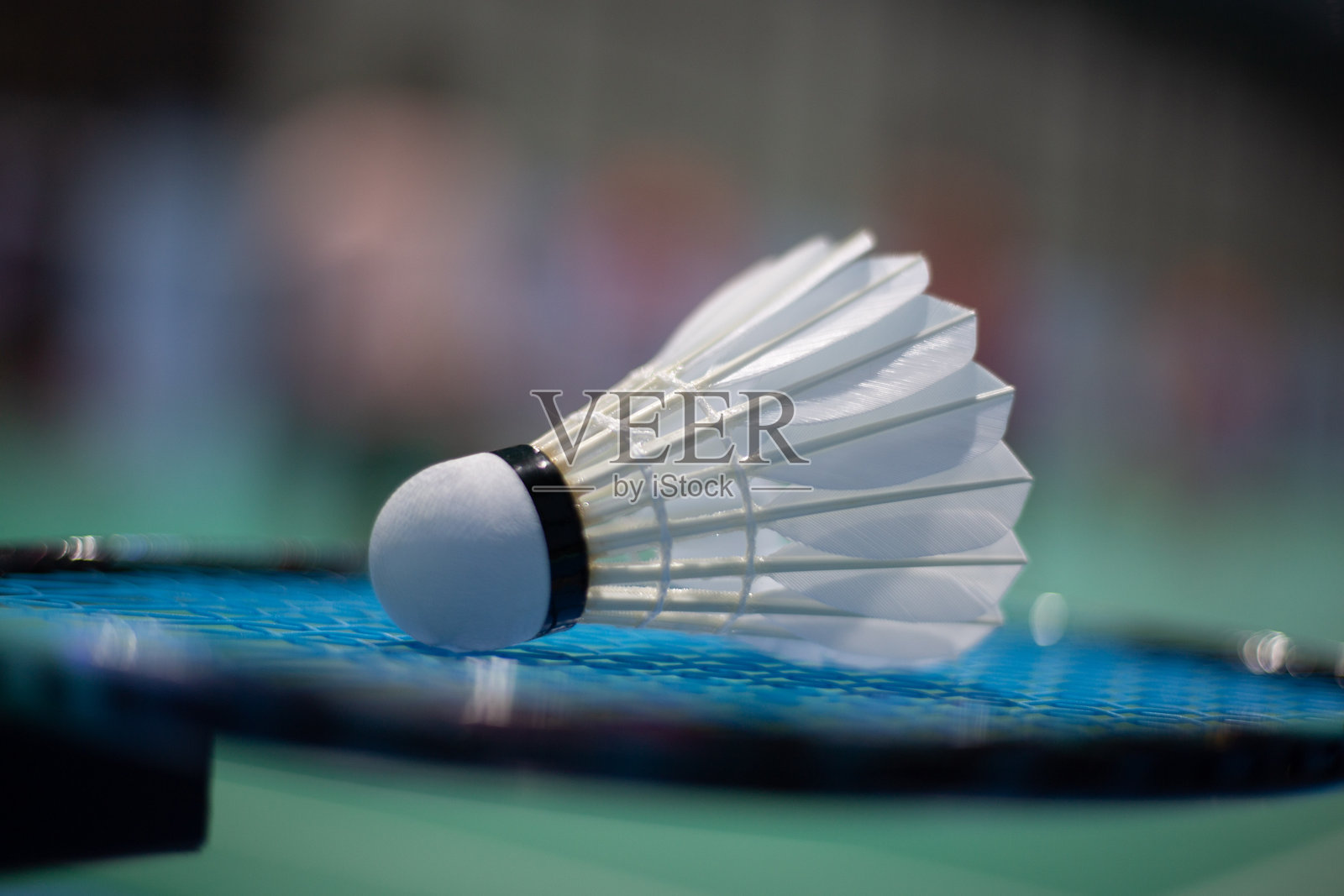 羽毛球在羽毛球拍上照片摄影图片