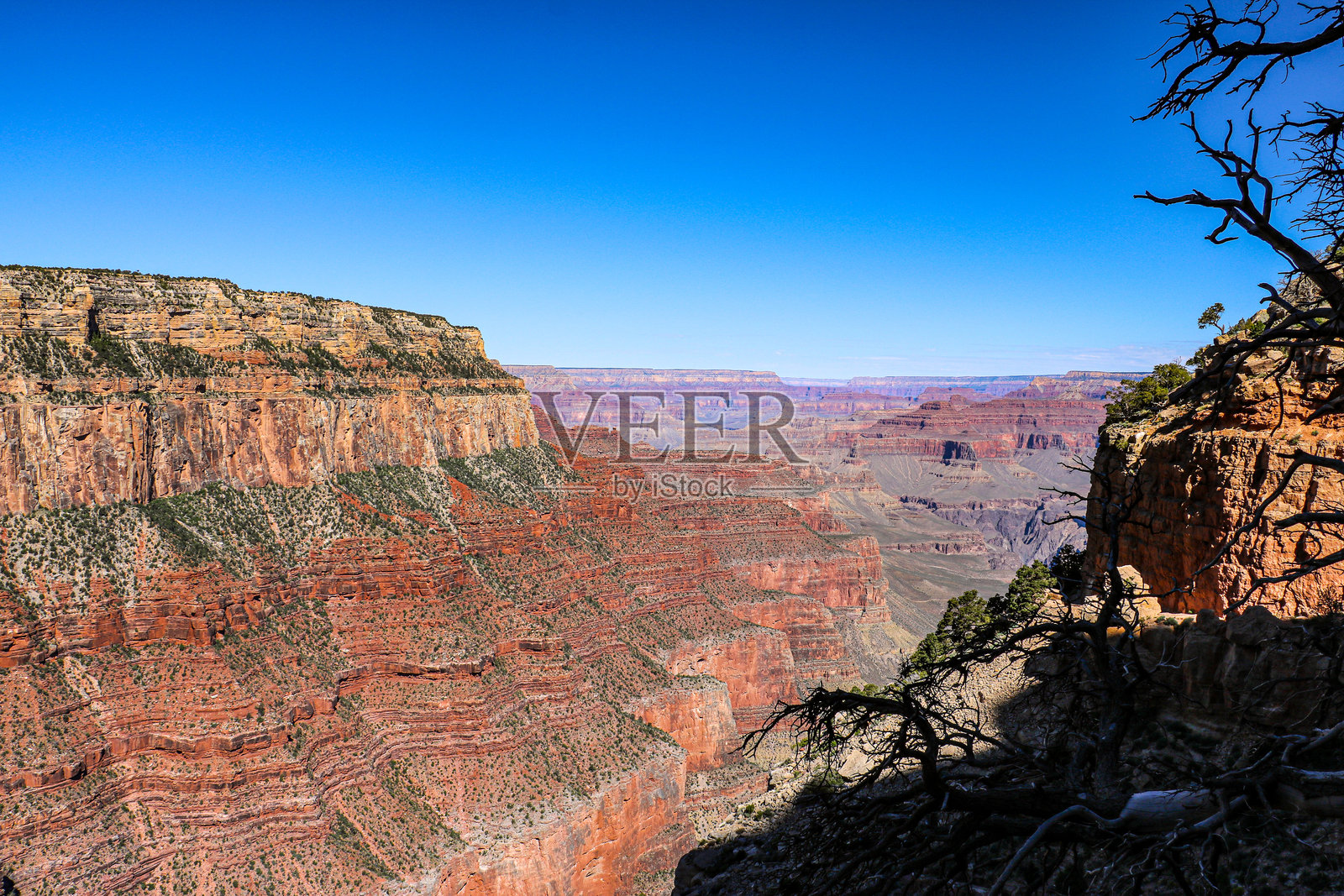 美丽的大峡谷。照片摄影图片