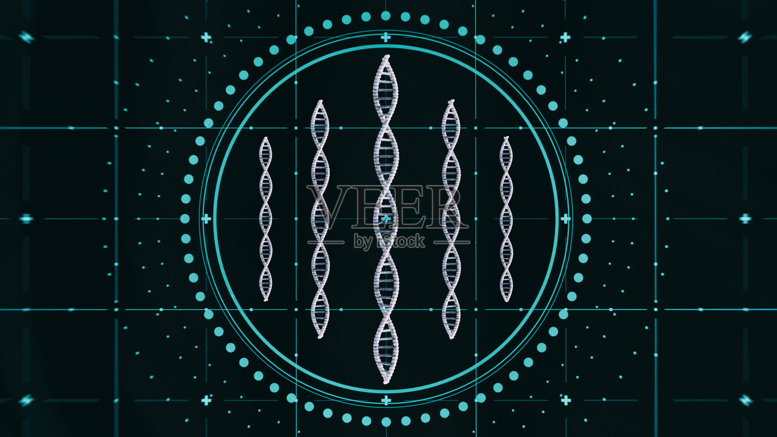 未来数字界面上的多重DNA螺旋及氮基的3D全息插图照片摄影图片