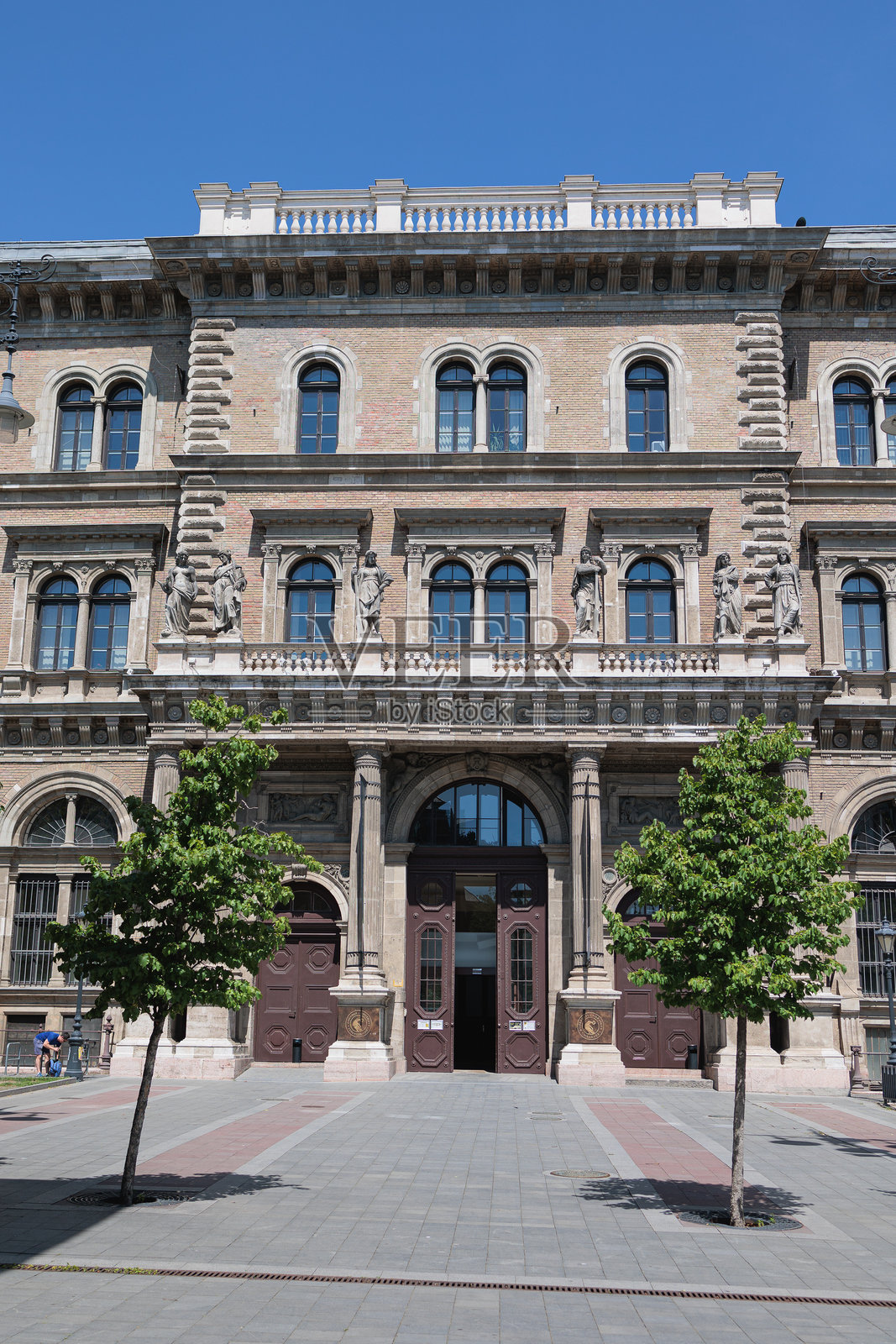 布达佩斯科尔维努斯大学的新古典主义外立面 - 匈牙利照片摄影图片