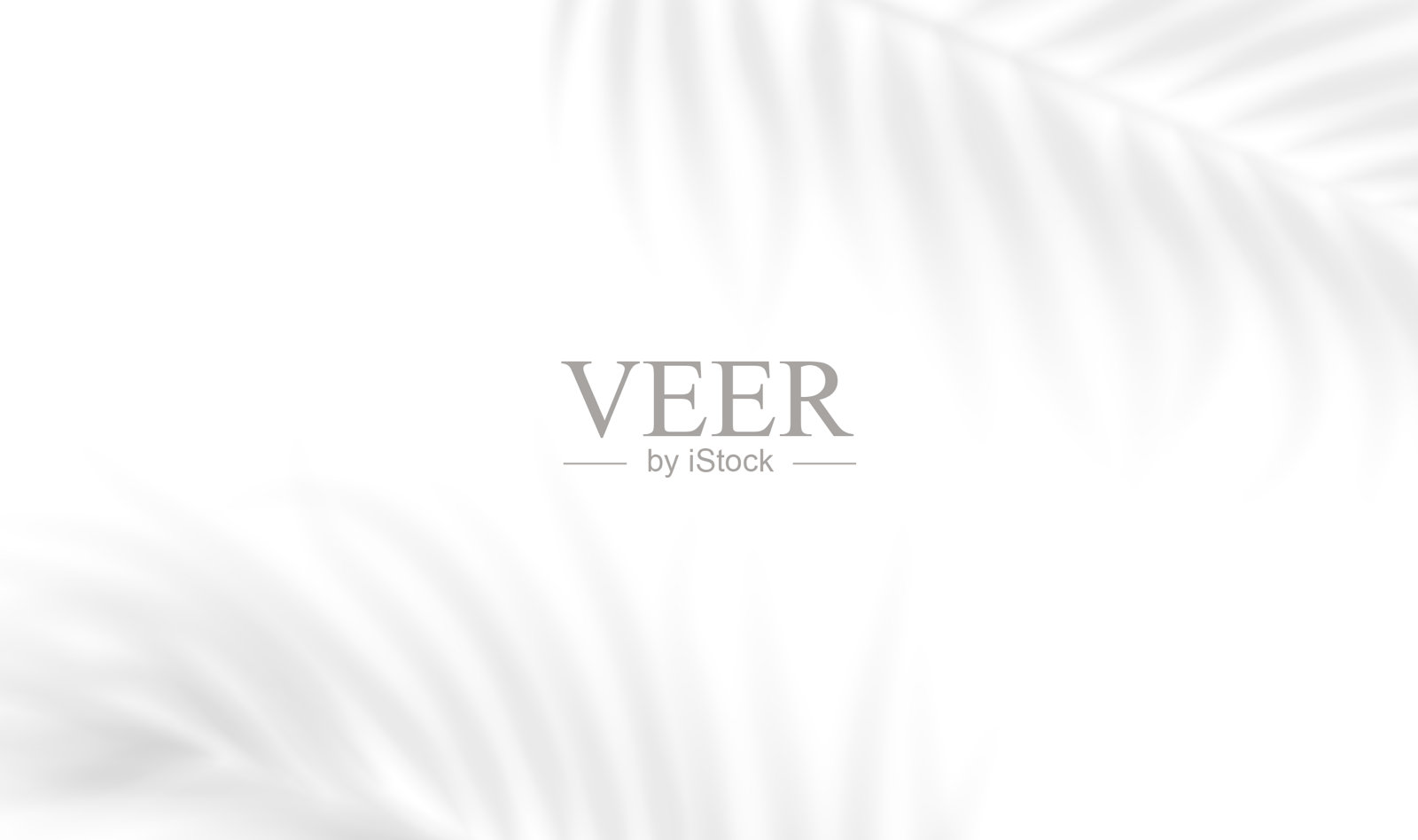 透明阴影叠加效果的热带叶子。棕榈枝的真实阴影。透明热带叶子阴影的样机。矢量插图插画图片素材