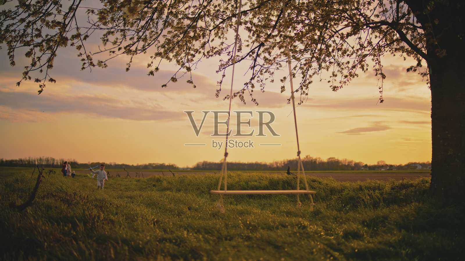 空荡荡的秋千悬挂在盛开的樱花树上，夕阳下的宁静乡村风景照片摄影图片