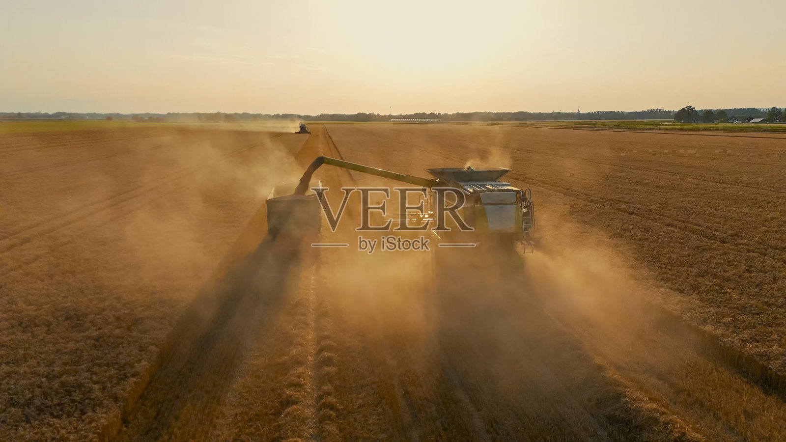 黄昏时分，尘土飞扬的田野里，联合收割机正在收割金色小麦。照片摄影图片