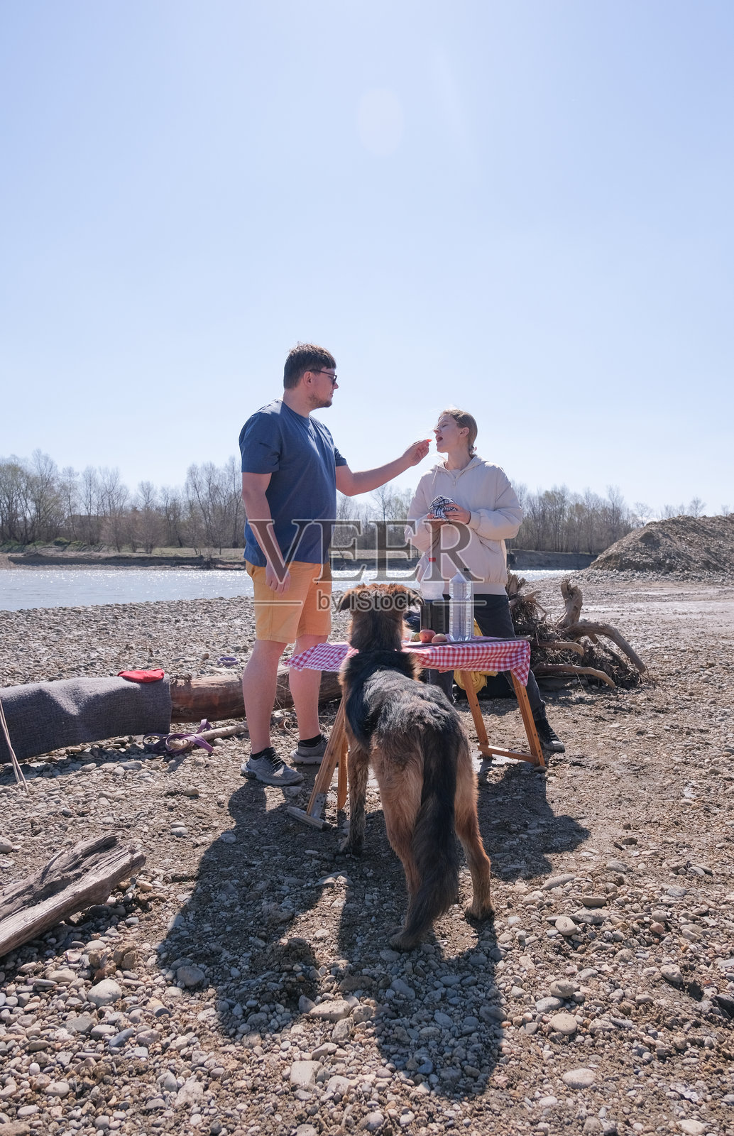 一家人在河边野餐，他们的狗正在吃棉花糖照片摄影图片