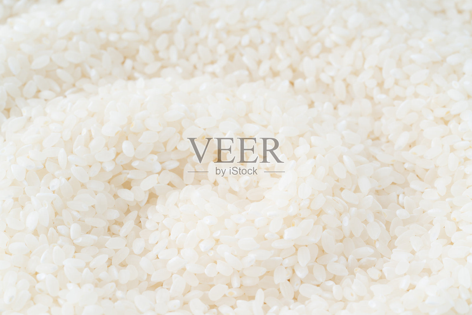 背景填满了日本稻米粒照片摄影图片