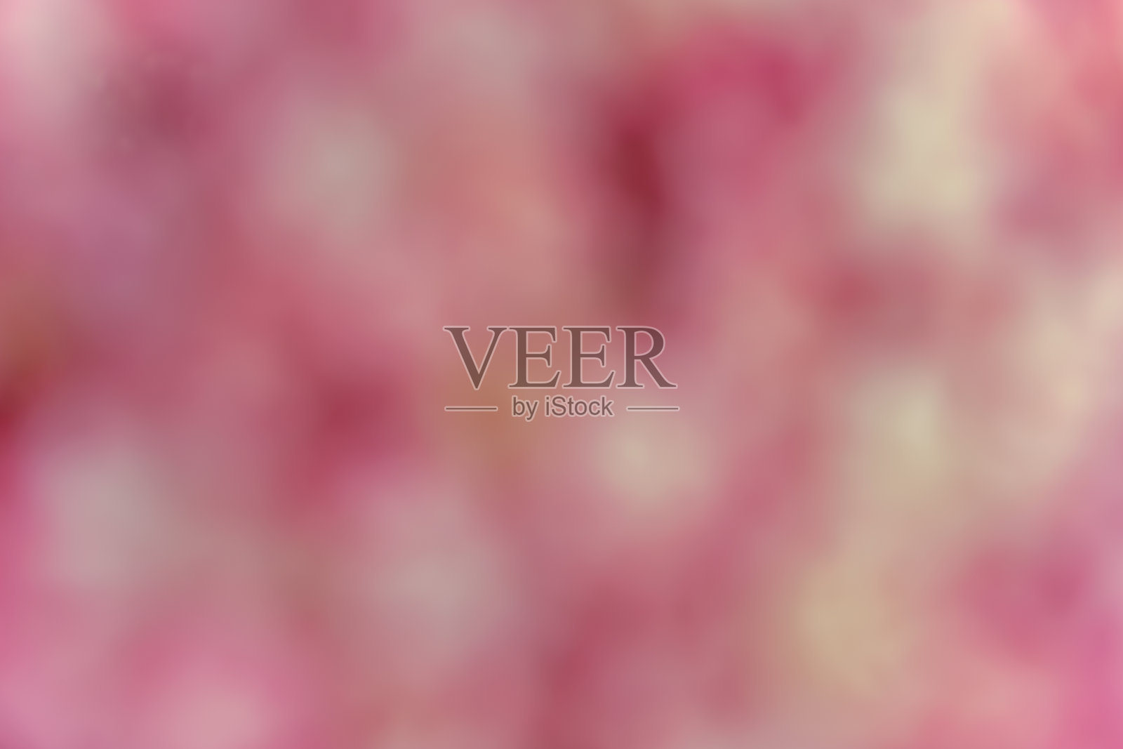 粉白色的柔软感照片摄影图片