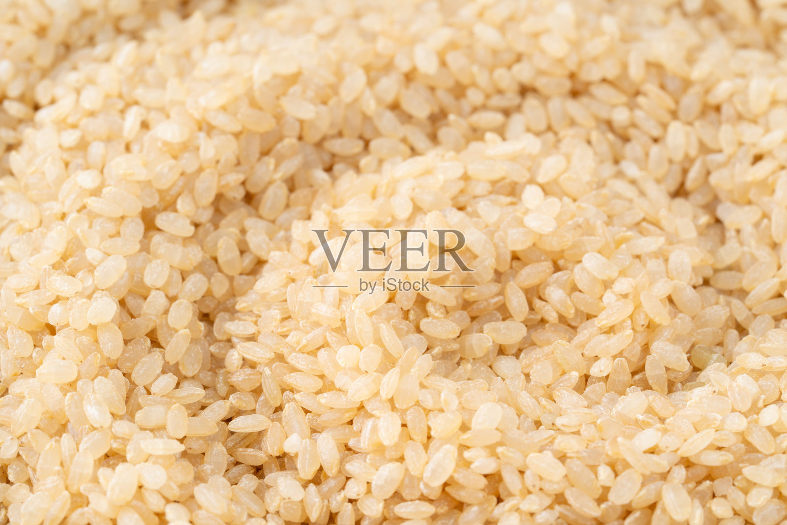 发芽的棕色大米特写（生米）照片摄影图片