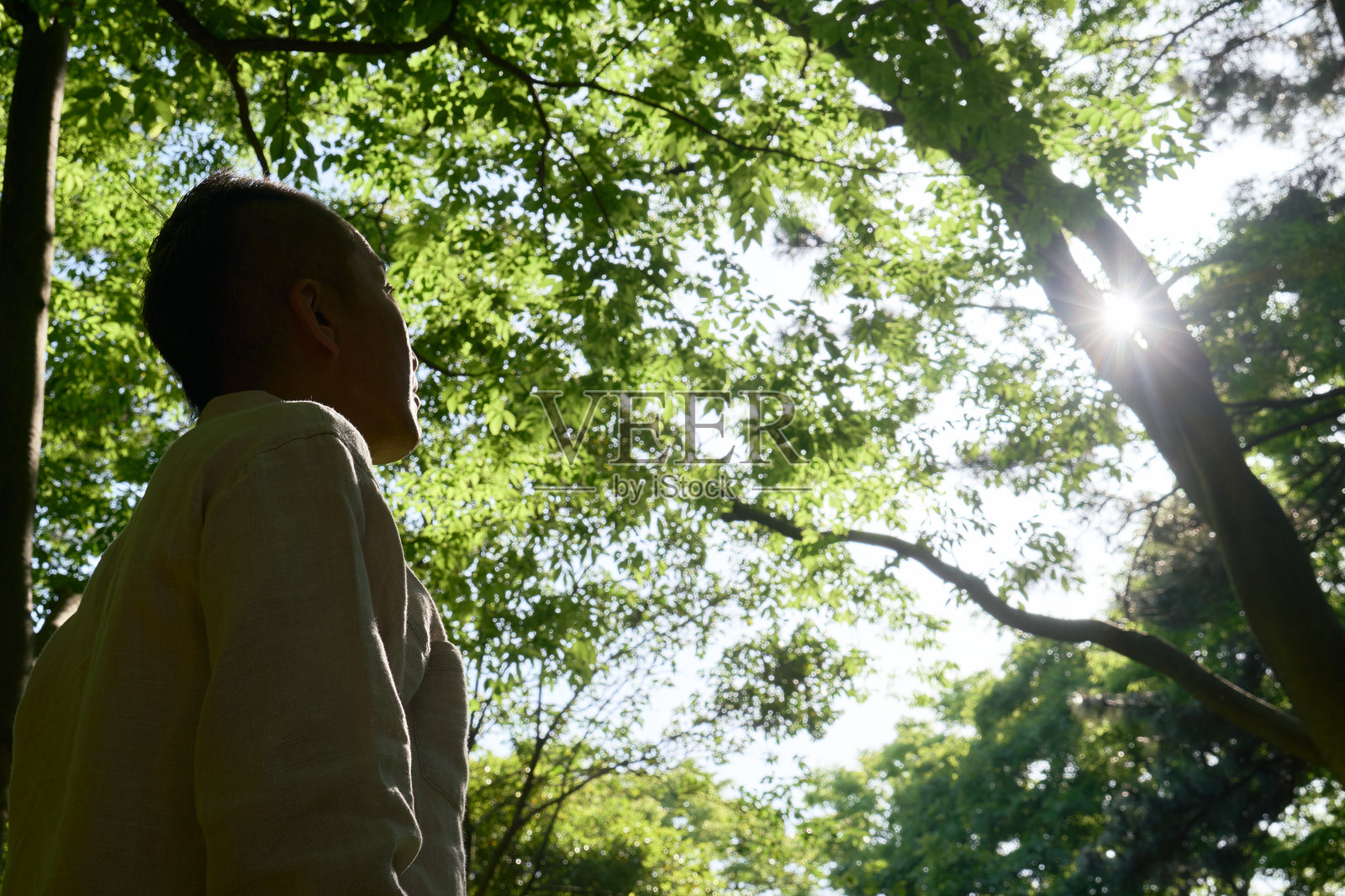 一个男人凝视着阳光透过树叶洒下的光线照片摄影图片