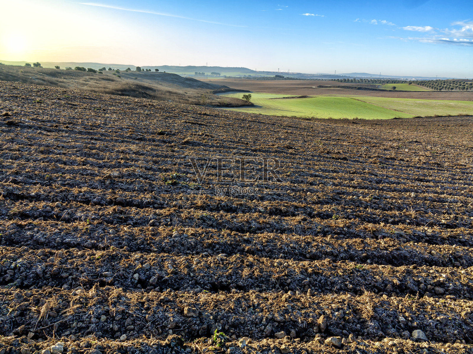 耕作的休耕地后面是农作物和橄榄树照片摄影图片