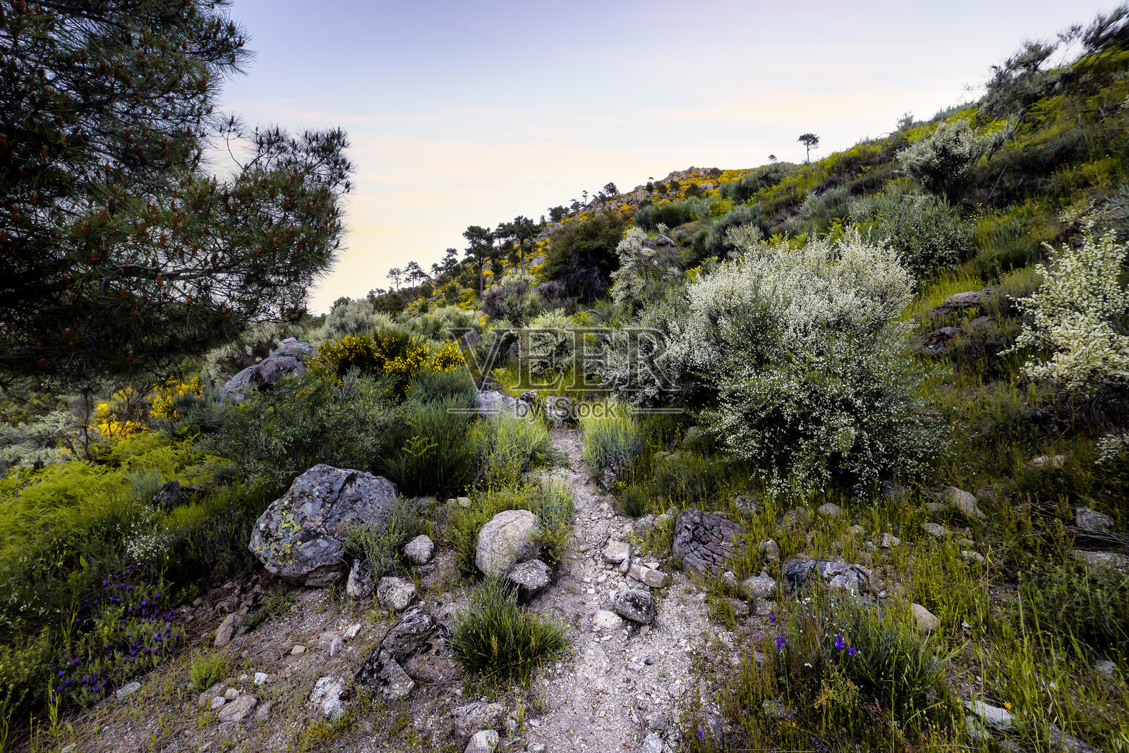 埃莉扎峡谷小径照片摄影图片