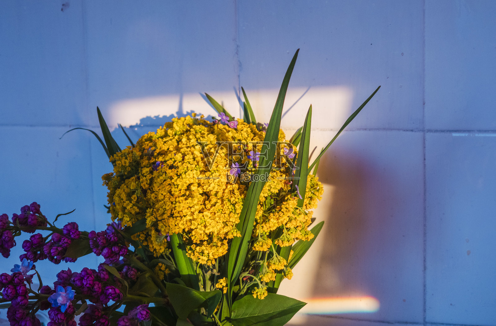 明亮的黄色花束在晨光中为厨房装饰增添了生动的色彩和自然之美。照片摄影图片