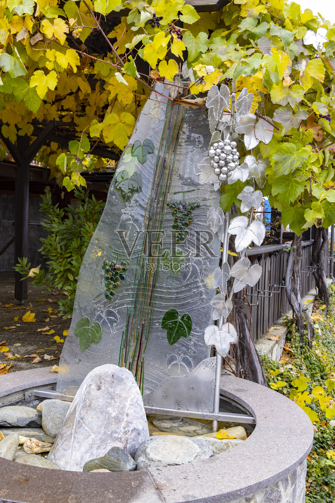 装饰性喷泉，带有玻璃面板和生长在凉棚上的藤叶照片摄影图片