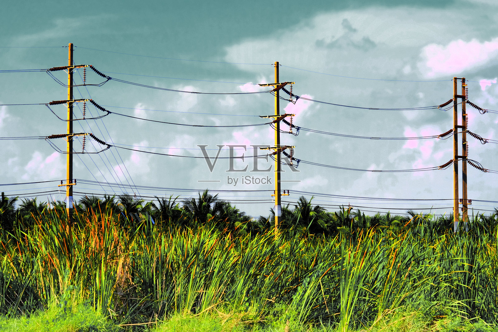 电线照片摄影图片