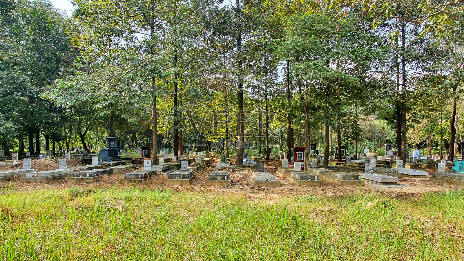 越南边和军事公墓的南越军士兵墓碑。照片摄影图片