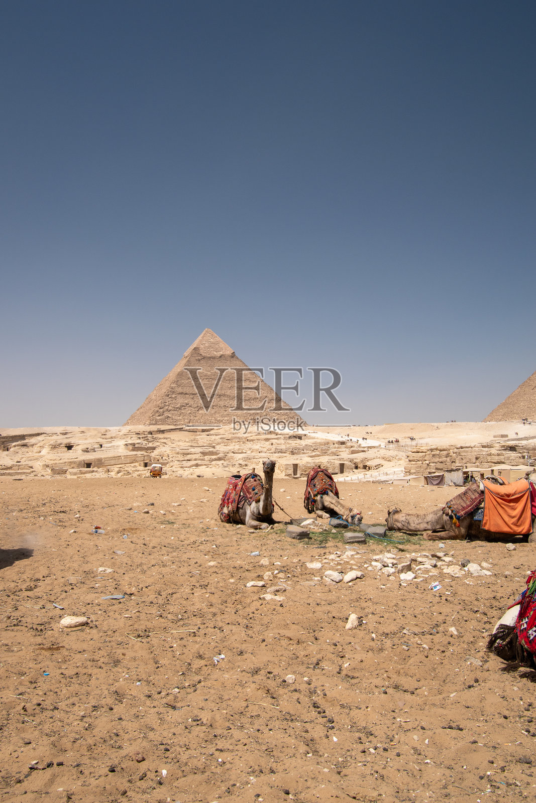 游客们在吉萨金字塔群考古遗址探险。照片摄影图片