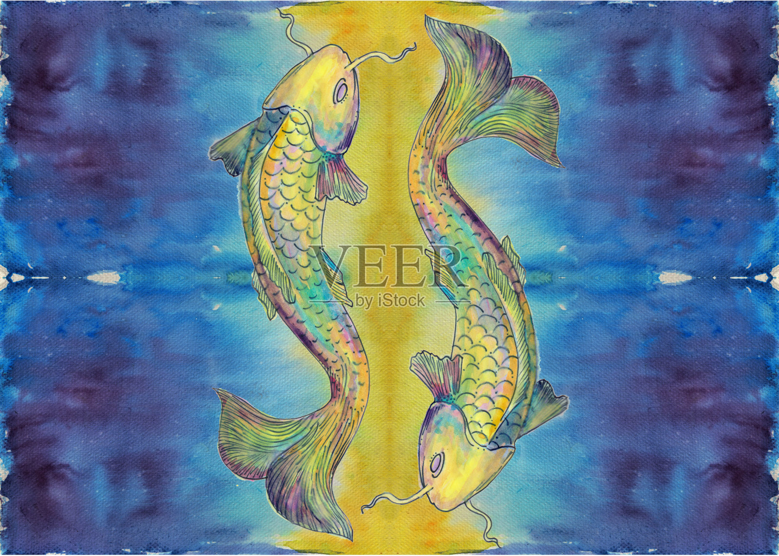 一对鳟鱼插画图片素材