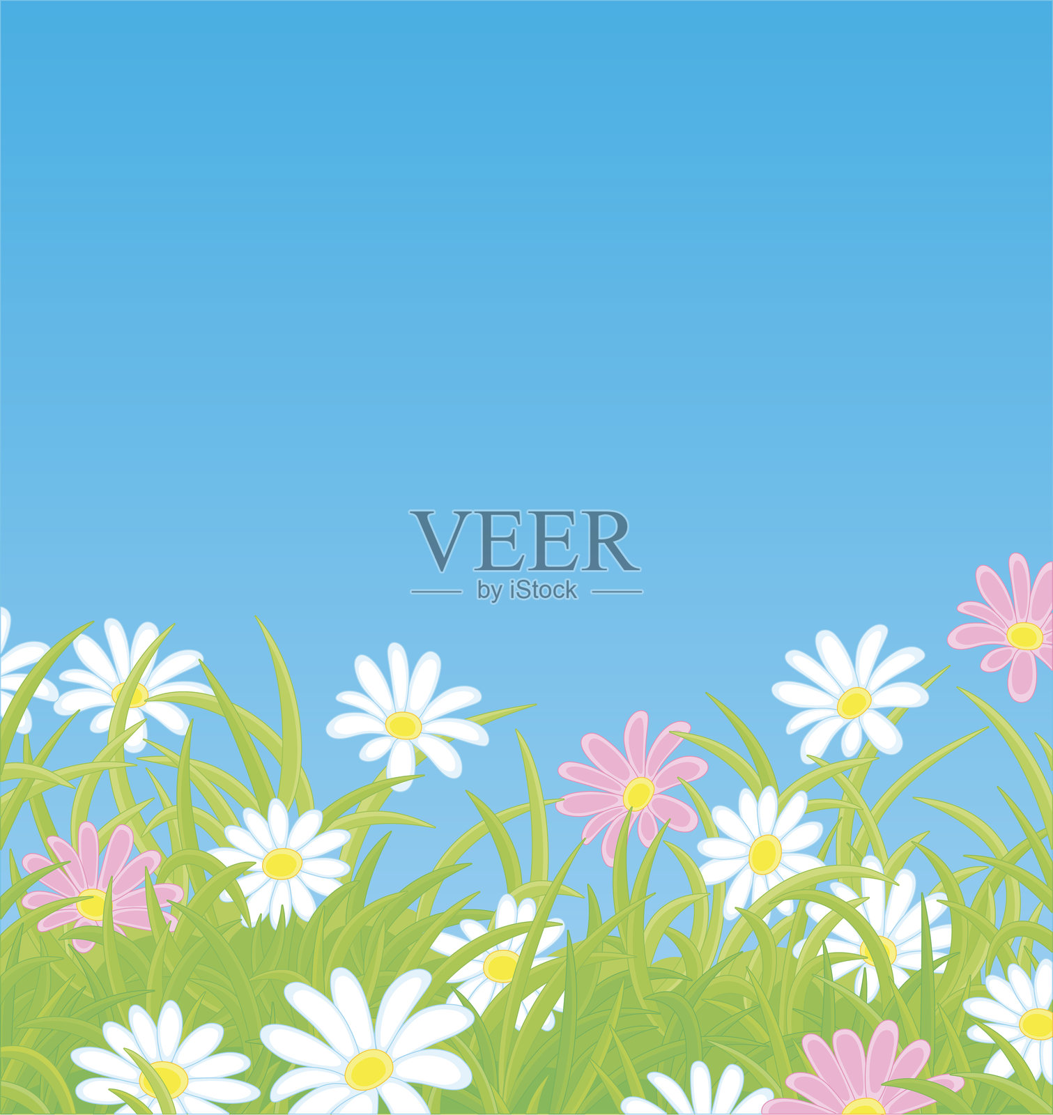 卡通风格的雏菊在绿色的夏季草地上插画图片素材