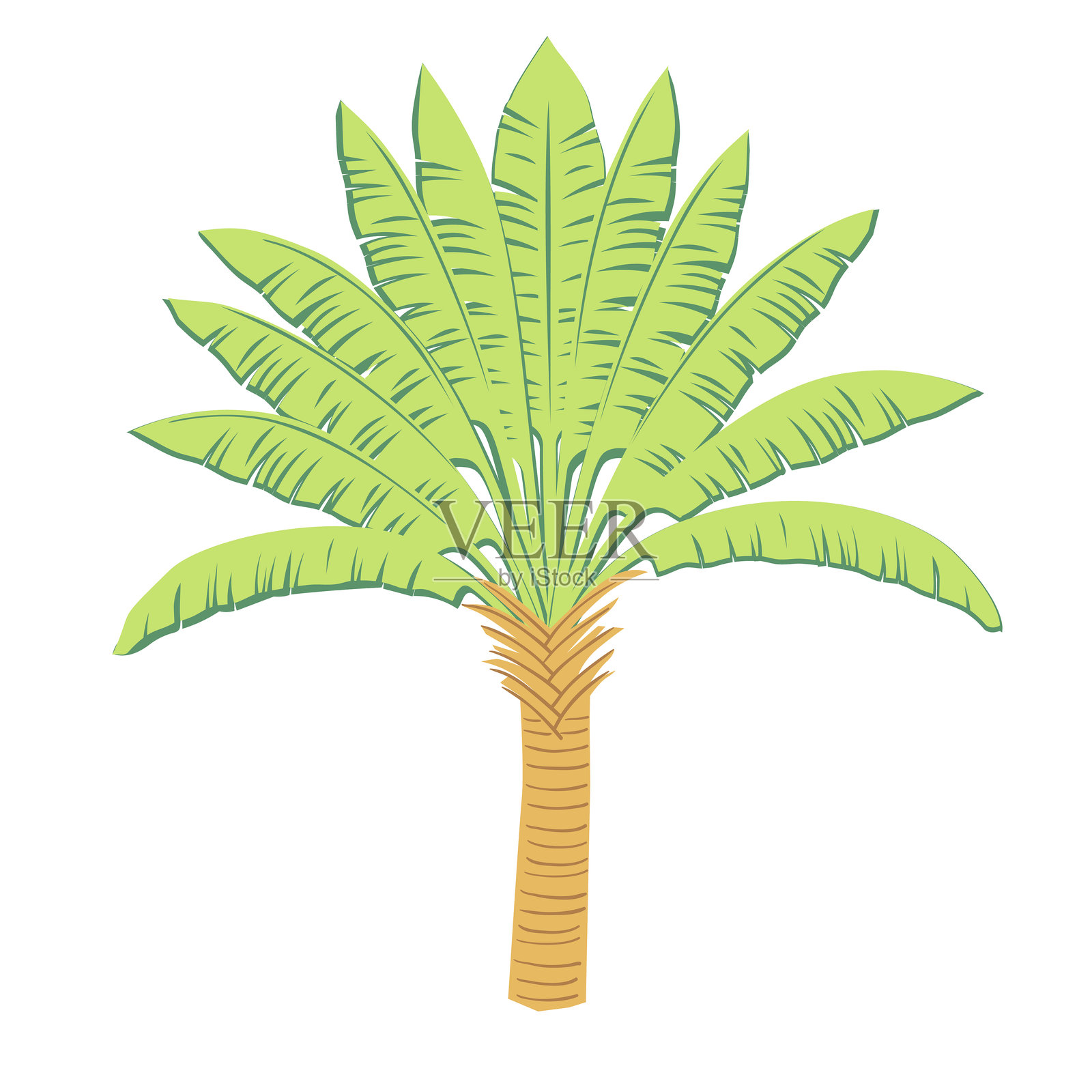 孤立的棕榈树元素插画图片素材