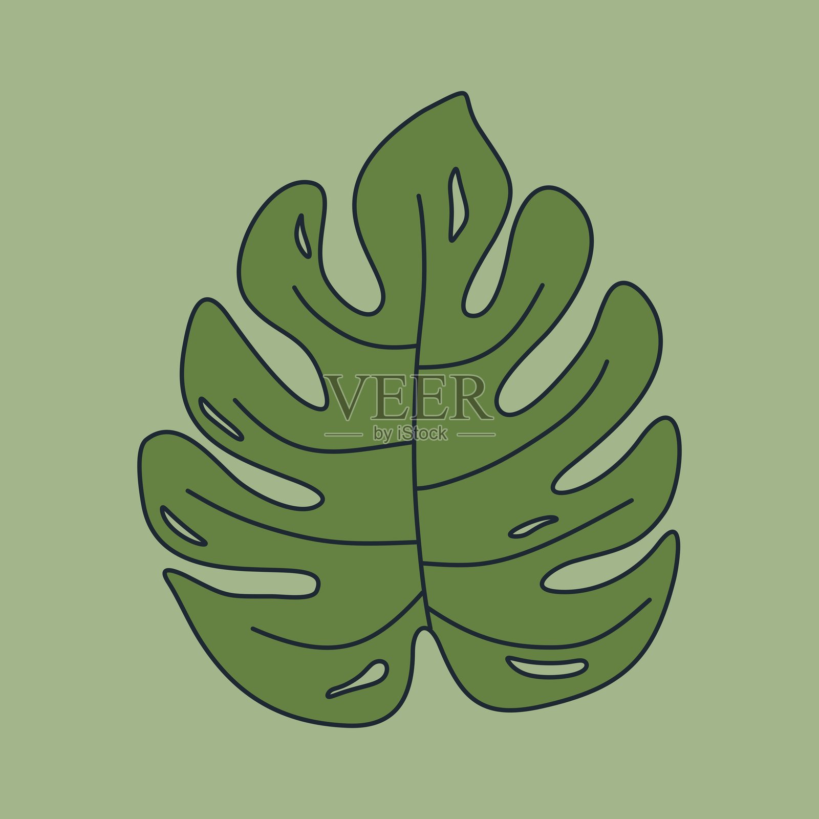 龟背竹叶标志。龟背竹叶矢量设计插画图片素材