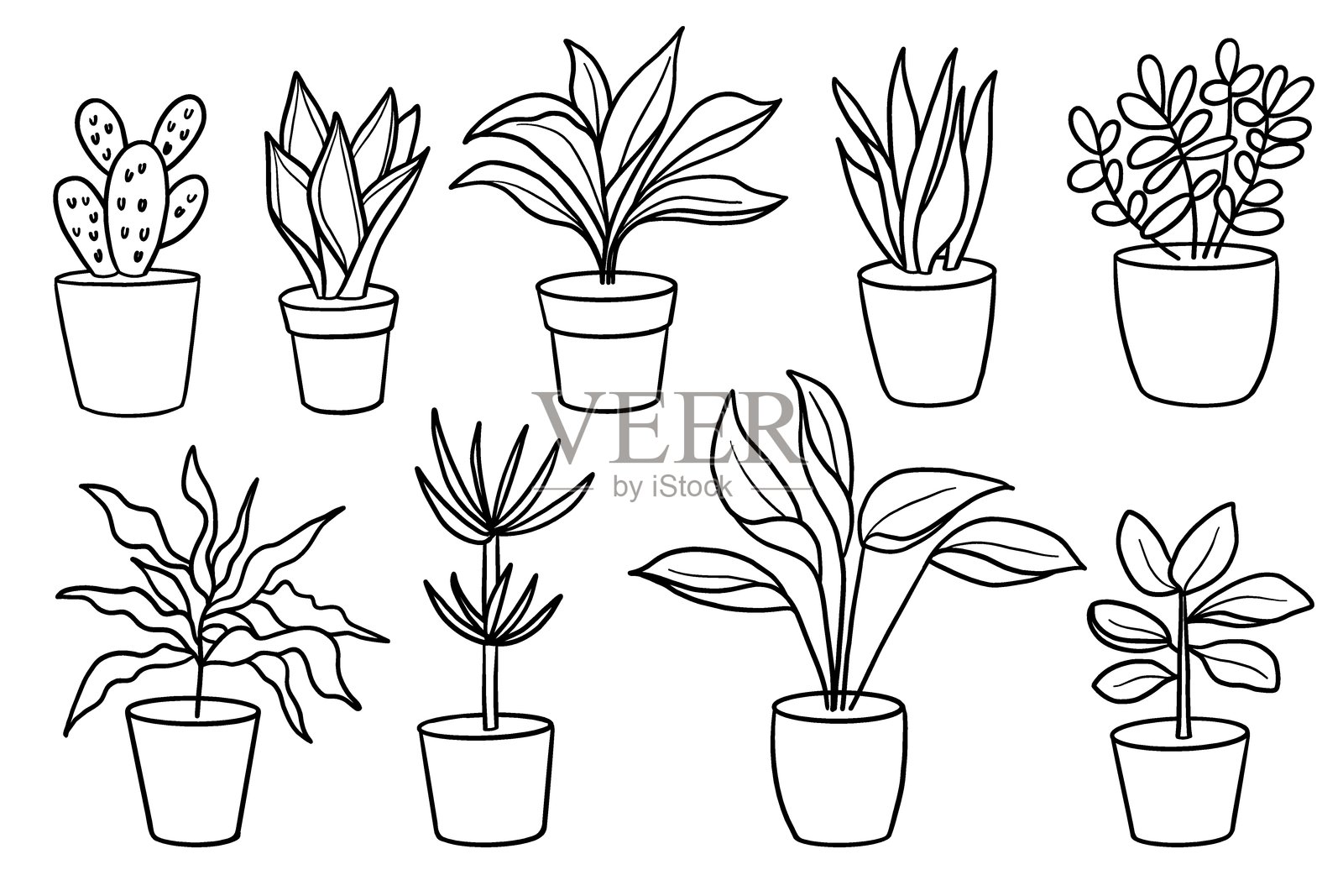 盆栽室内植物插图线条矢量集插画图片素材