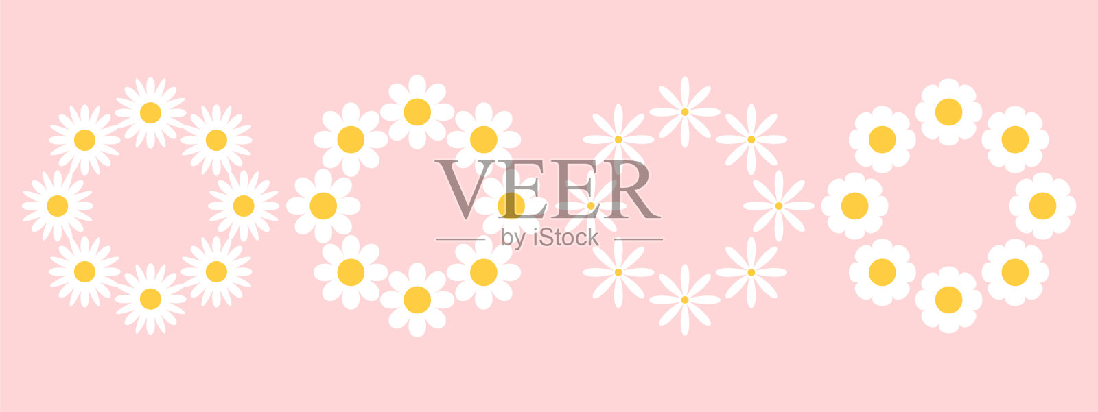 一组带有白色波浪菊花的圆形框架插画图片素材