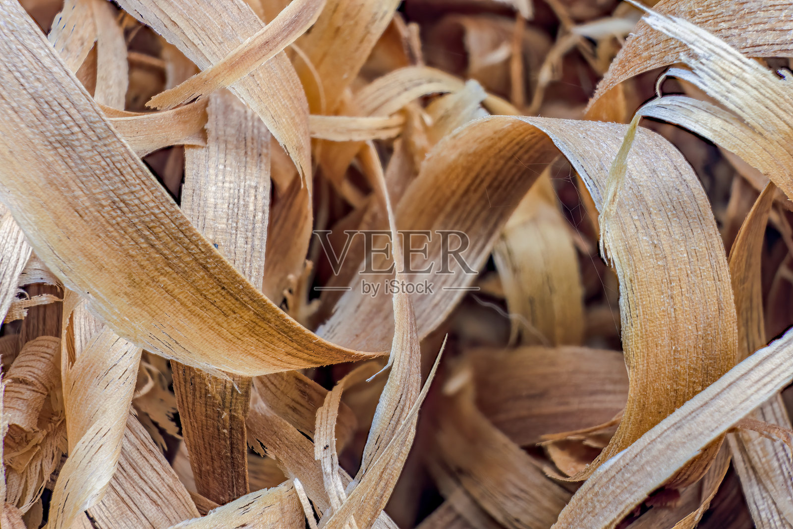 一堆卷曲的木屑照片摄影图片