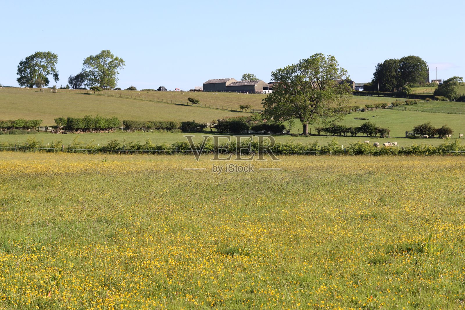 春天的乡村田野景色照片摄影图片