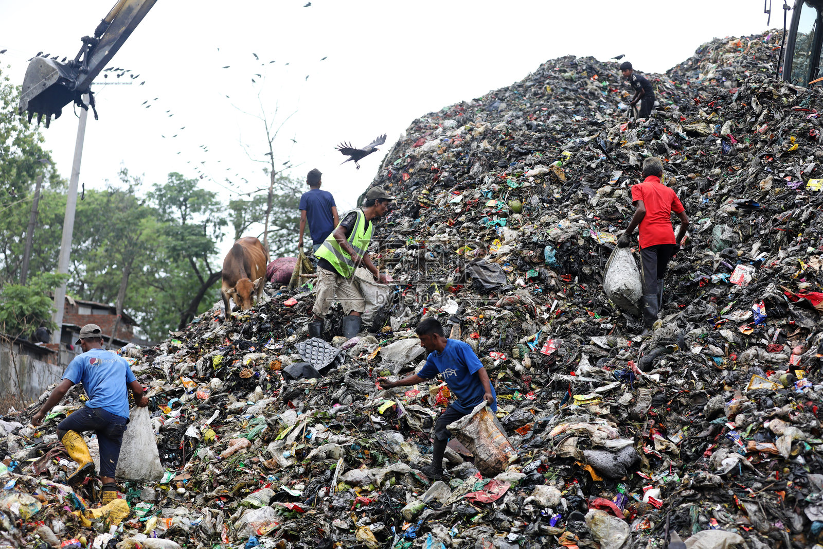 人们在不卫生的条件下工作，并在垃圾堆放场捡拾垃圾。世界环境日照片。照片摄影图片