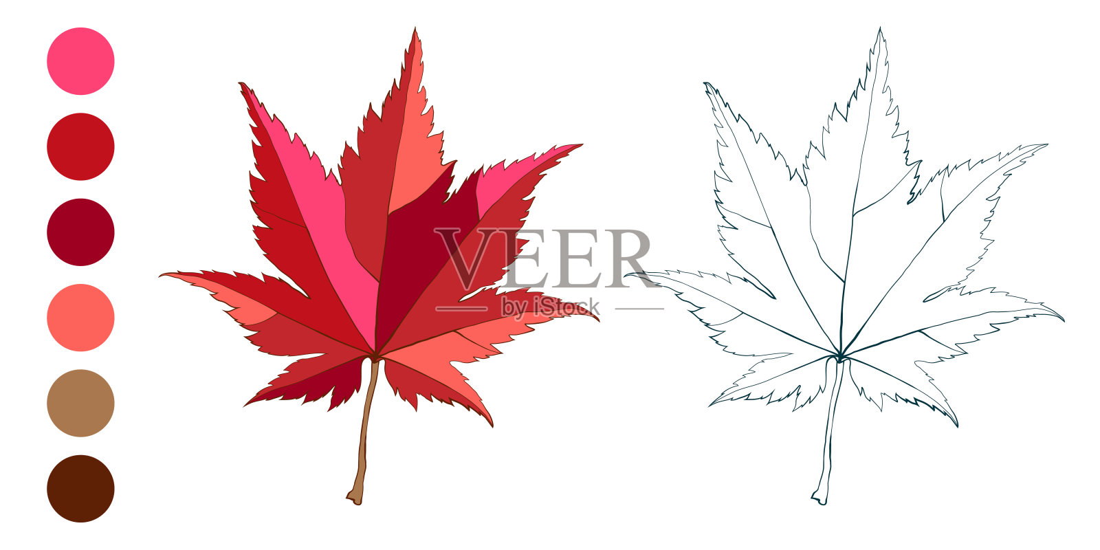 一组手绘的枫树秋季彩色落叶插画图片素材