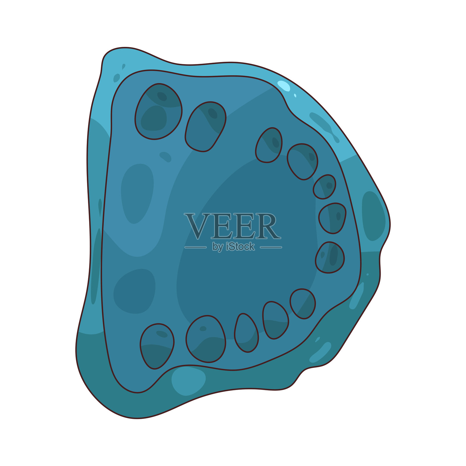 牙科模型插画图片素材