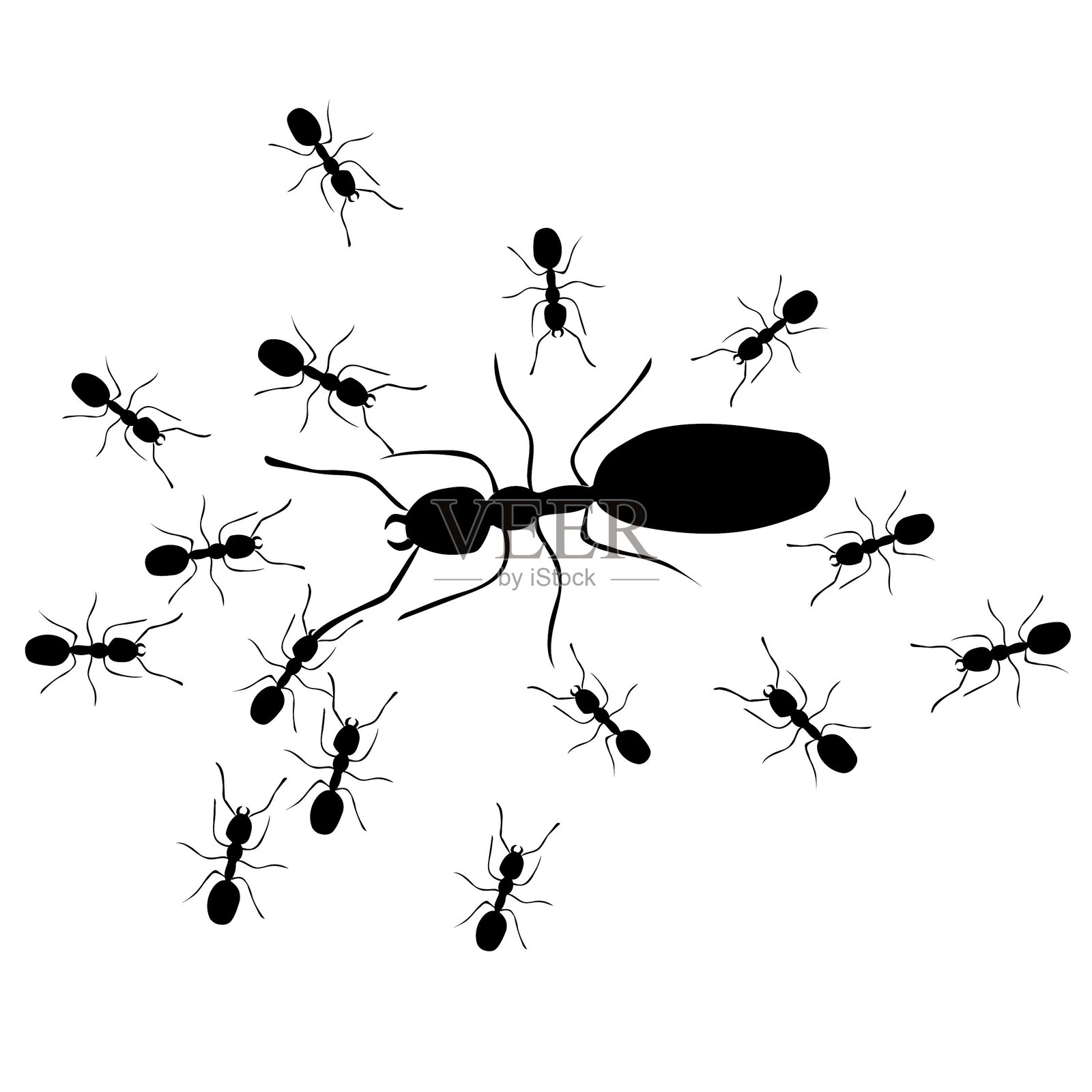 蚂蚁手绘图。女王蚂蚁、工蚁、士兵蚂蚁、觅食昆虫的蚂蚁矢量素描。插画图片素材