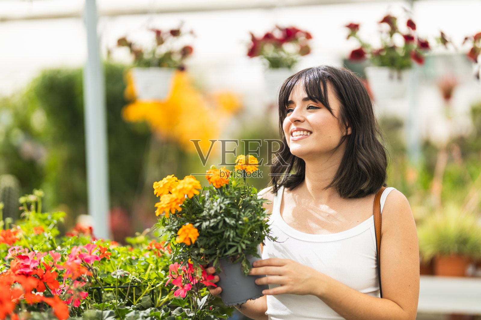 女人在温室里微笑着手持盆栽万寿菊花。照片摄影图片