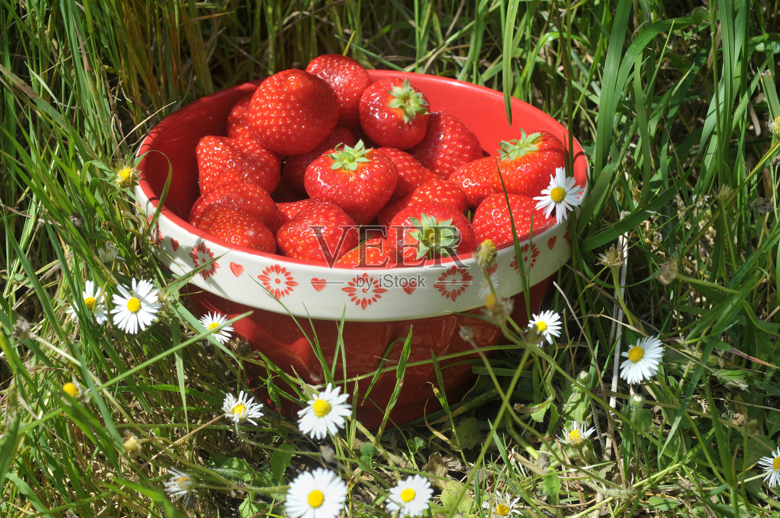 法国有机加利古特草莓放在碗里照片摄影图片