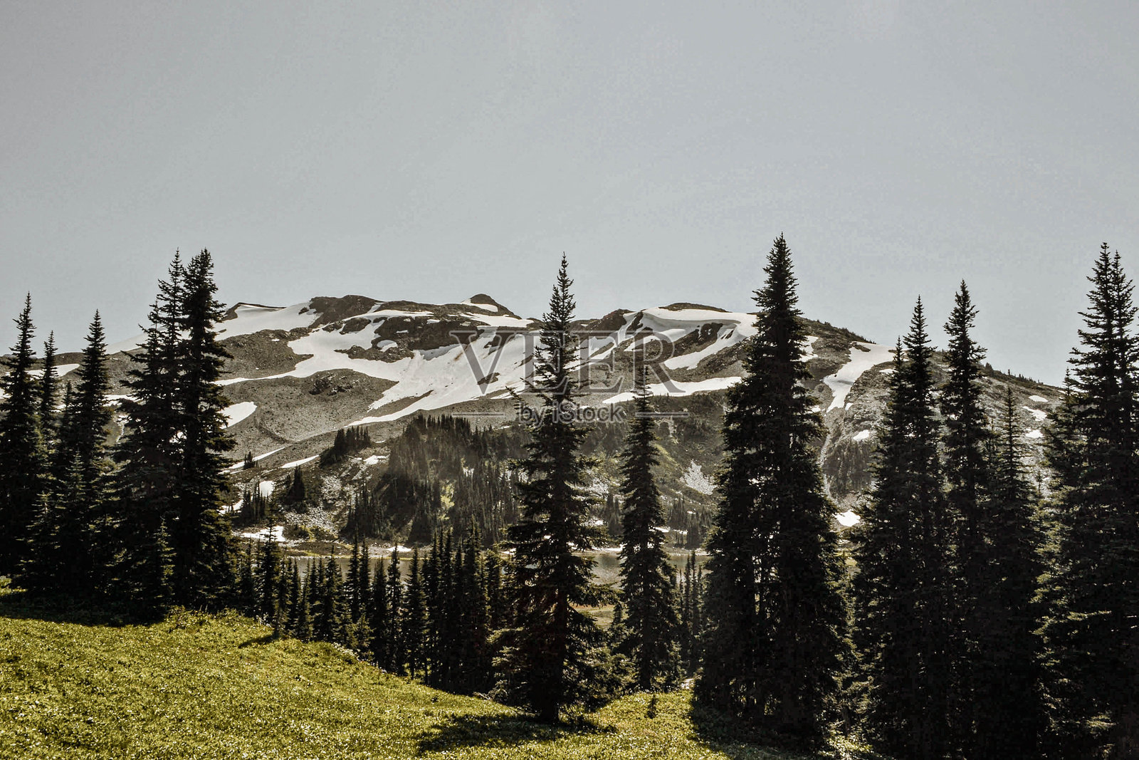 落基山脉的雪山和常青森林照片摄影图片