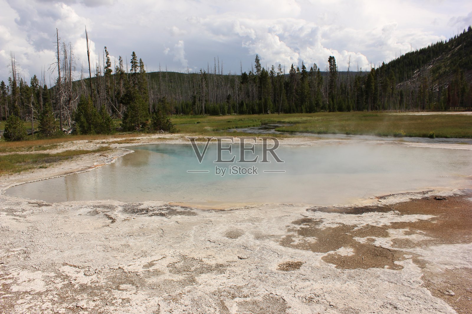 黄石国家公园内生机勃勃的温泉，四周环绕着郁郁葱葱的绿树和森林山丘照片摄影图片
