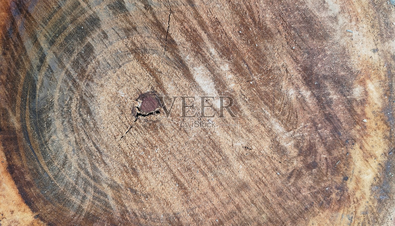 切割木材纹理的背景。杨树砍伐树干表面的纹理。照片摄影图片