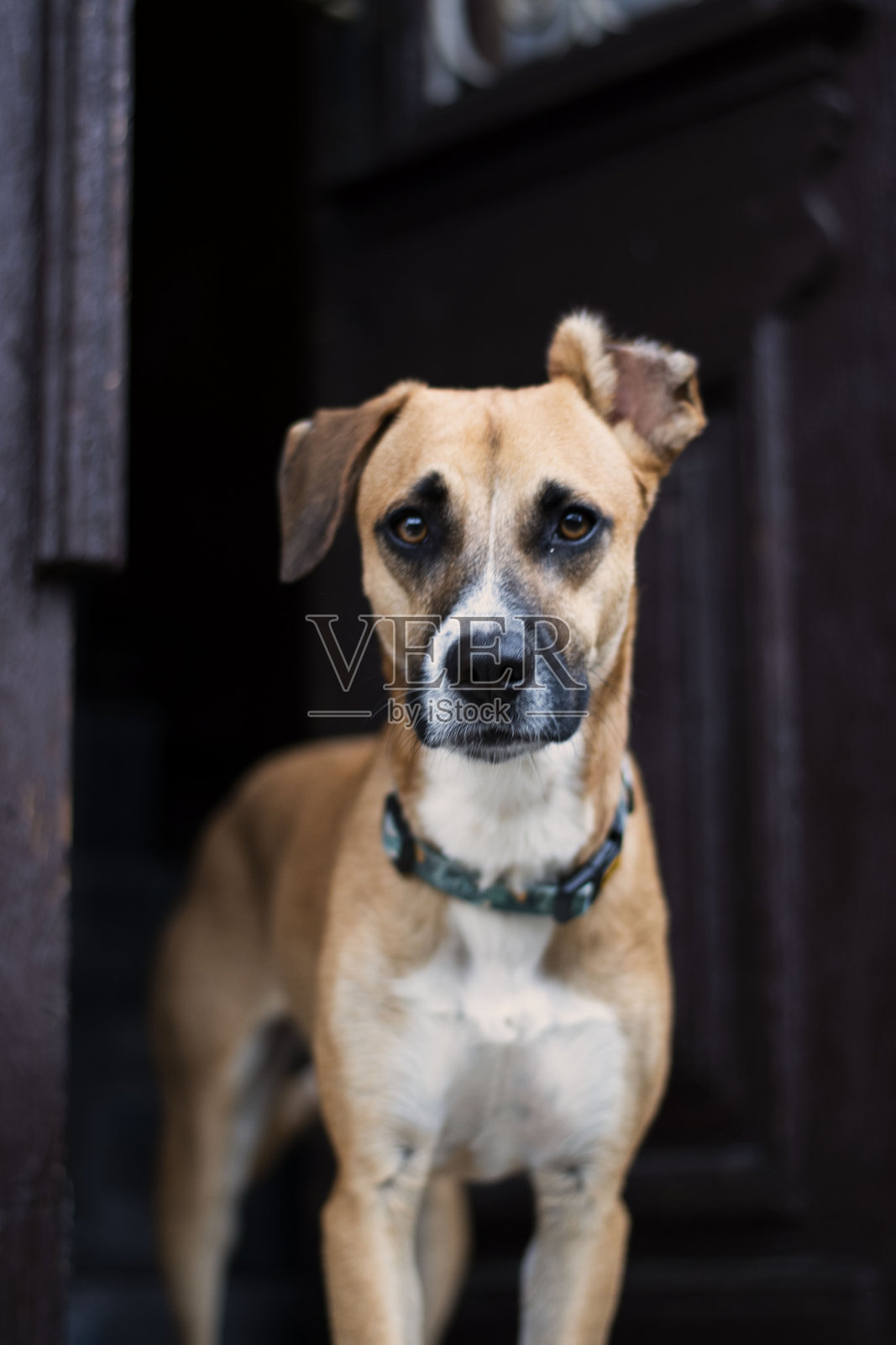 我心的形状照片摄影图片