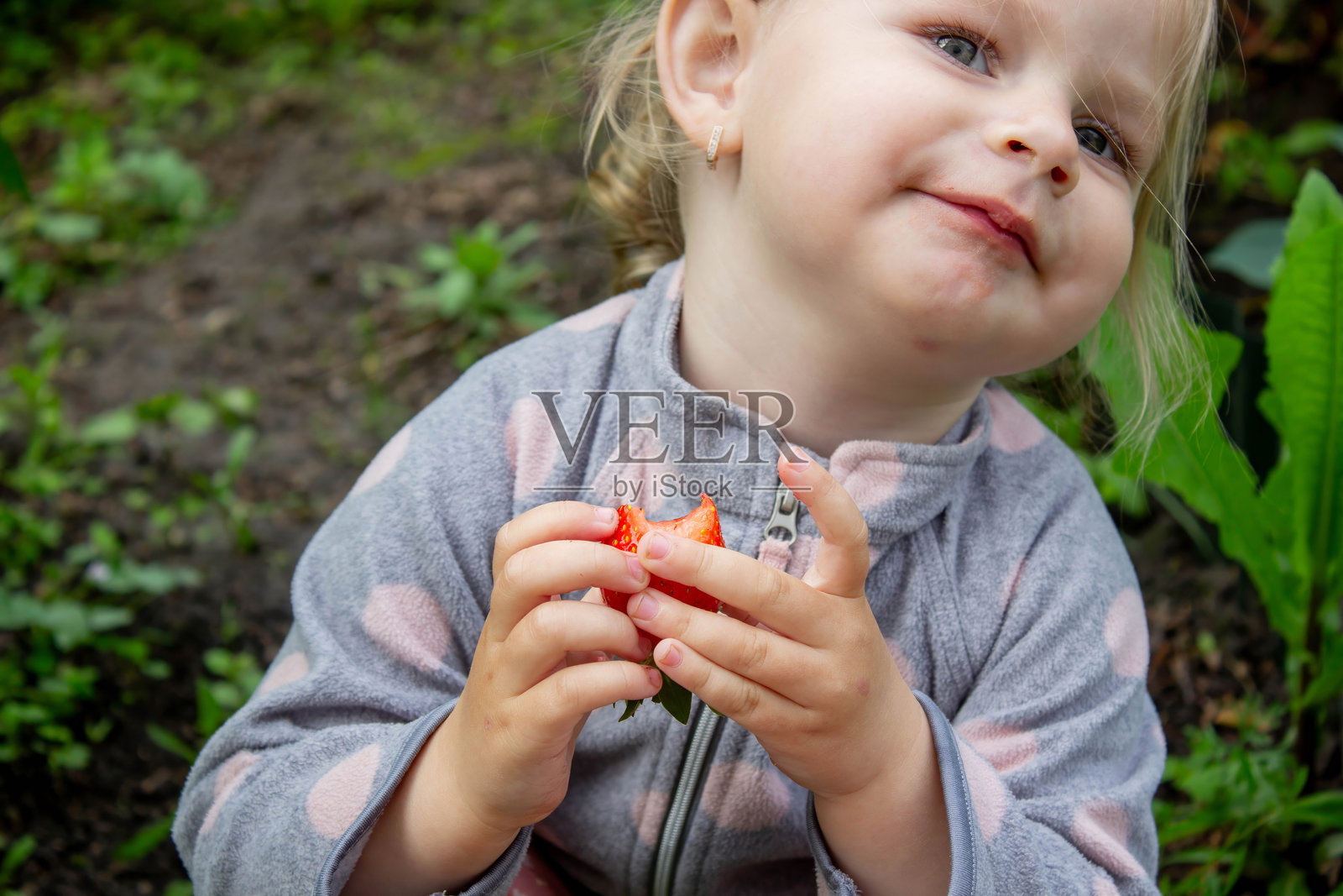 小女孩在花园里吃成熟的草莓。选择性聚焦照片摄影图片