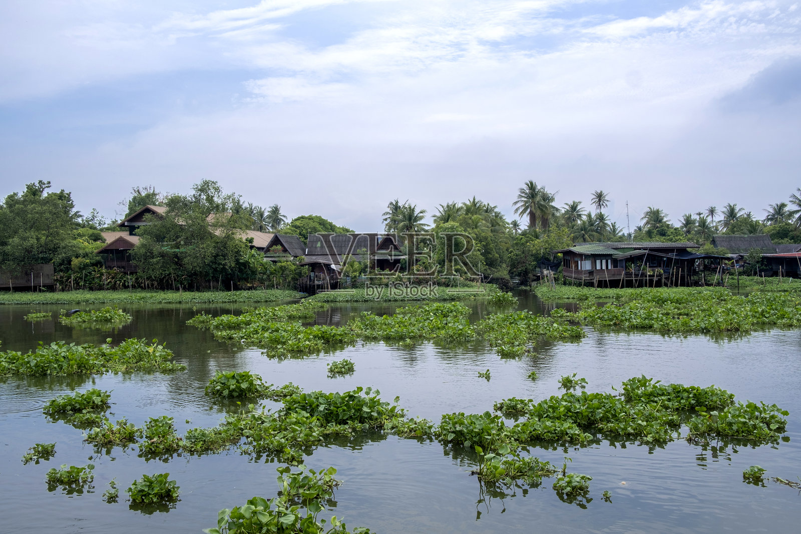 泰国河边的房子照片摄影图片