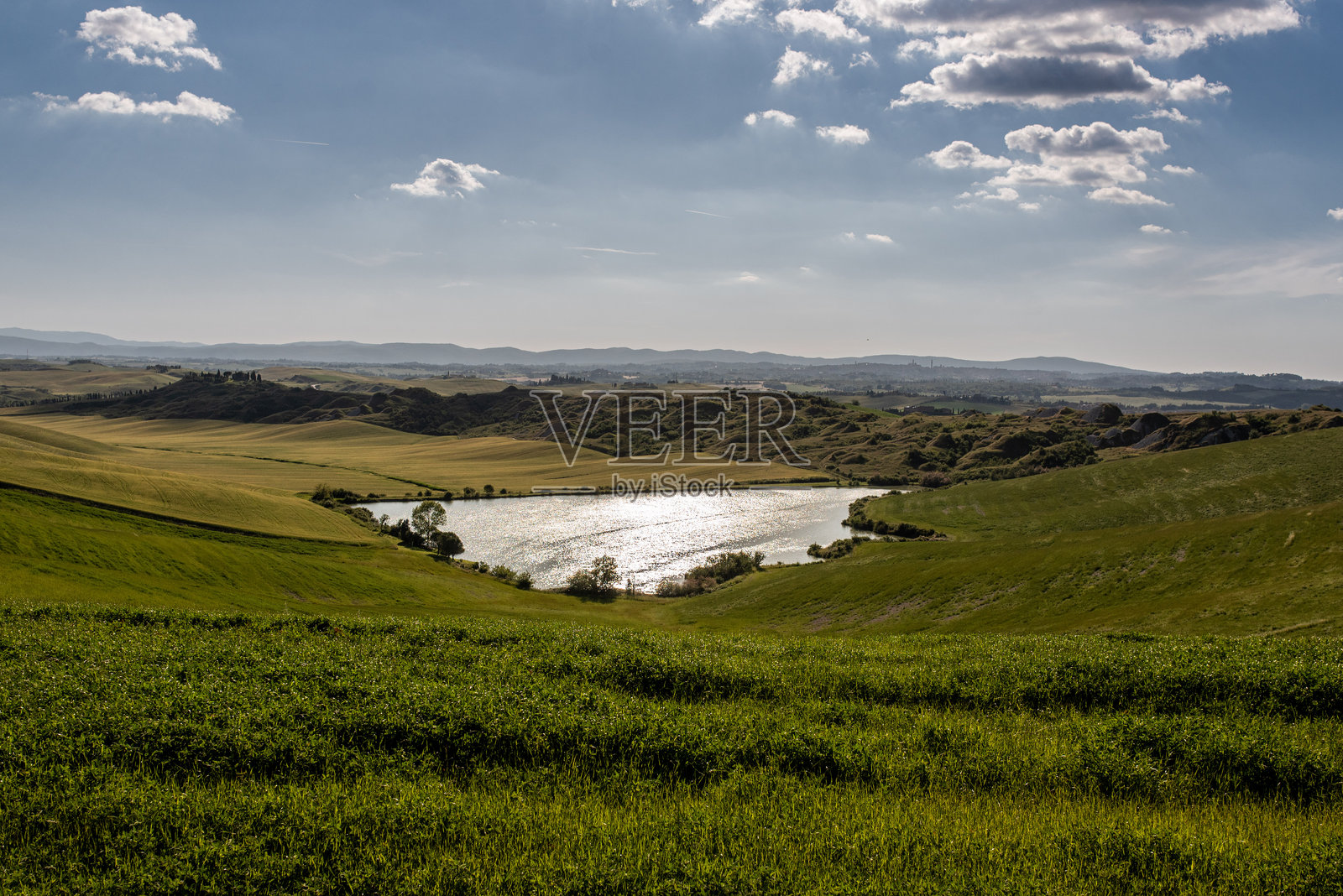 托斯卡纳全景。麦田、柏树和乡村道路。照片摄影图片