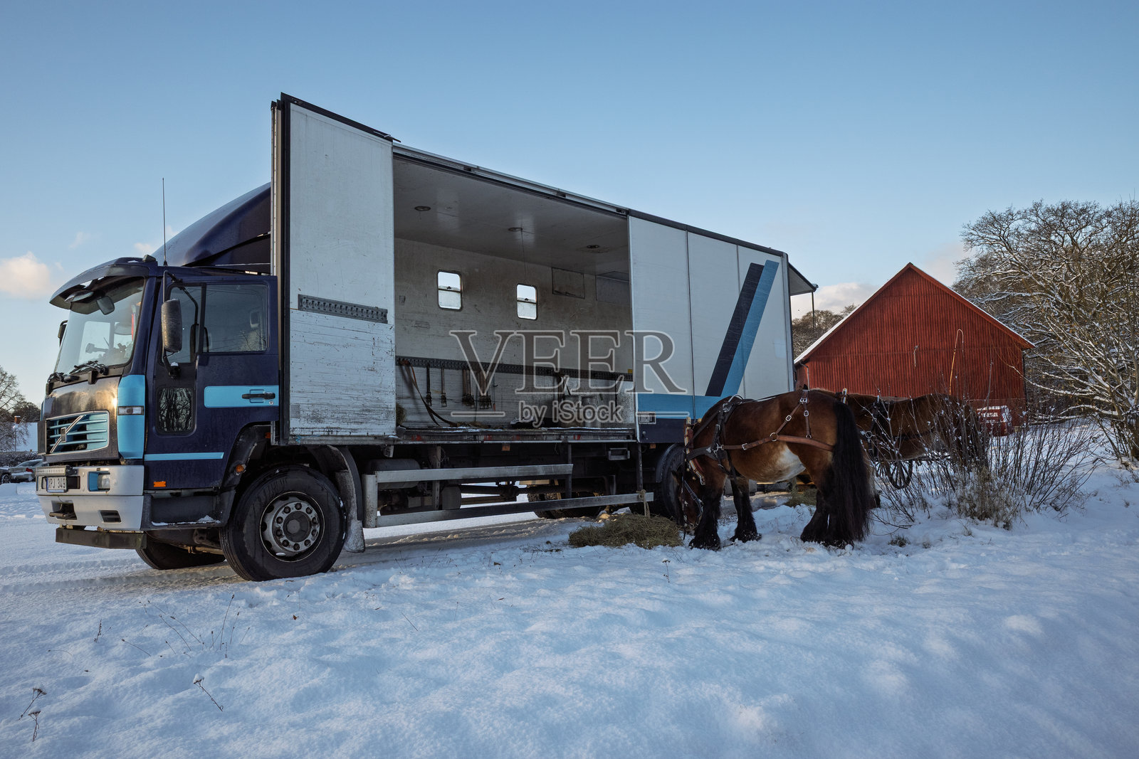 瑞典雪地中的马和大型卡车照片摄影图片
