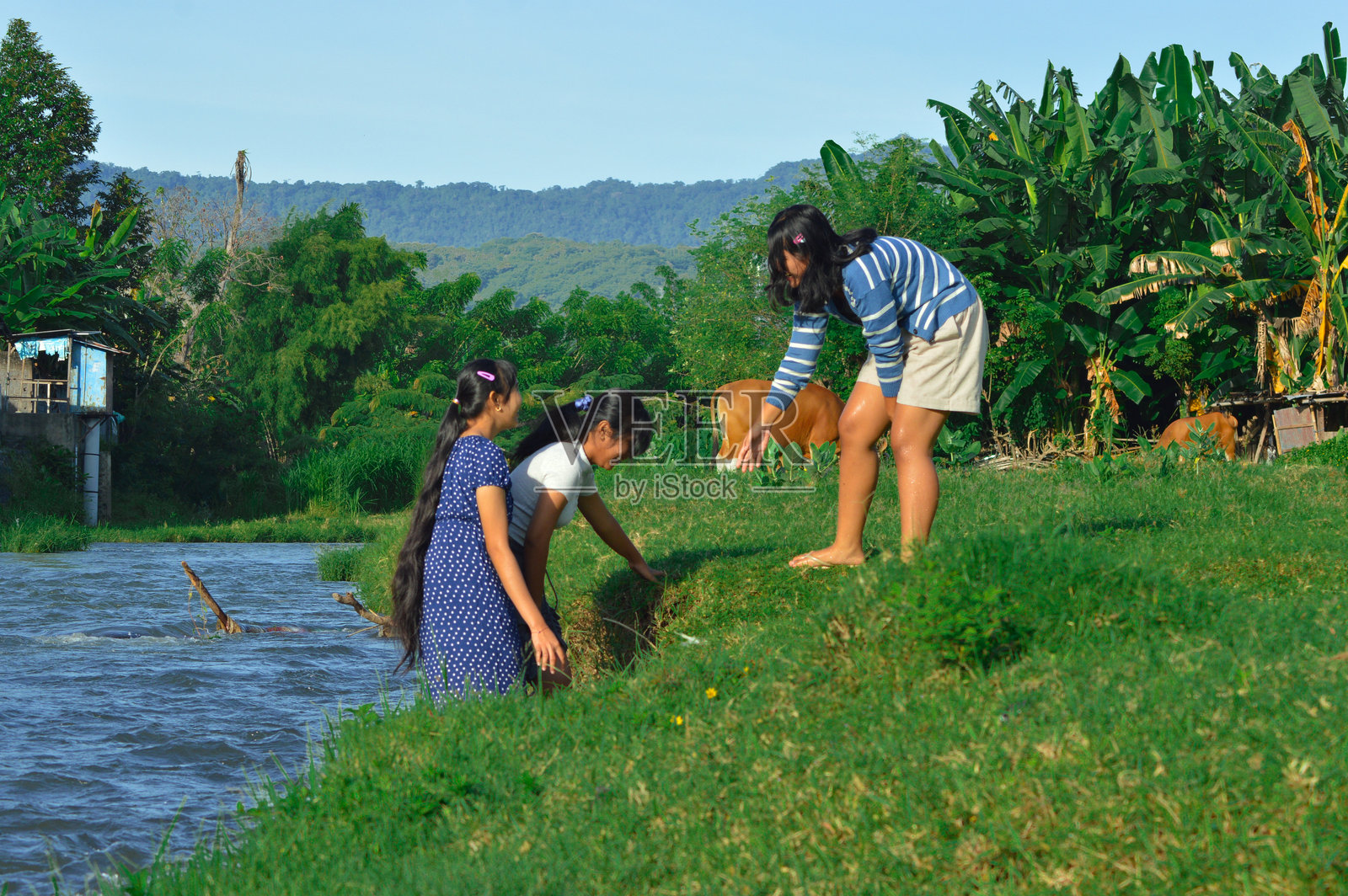女孩伸出手帮助朋友攀爬草坡照片摄影图片