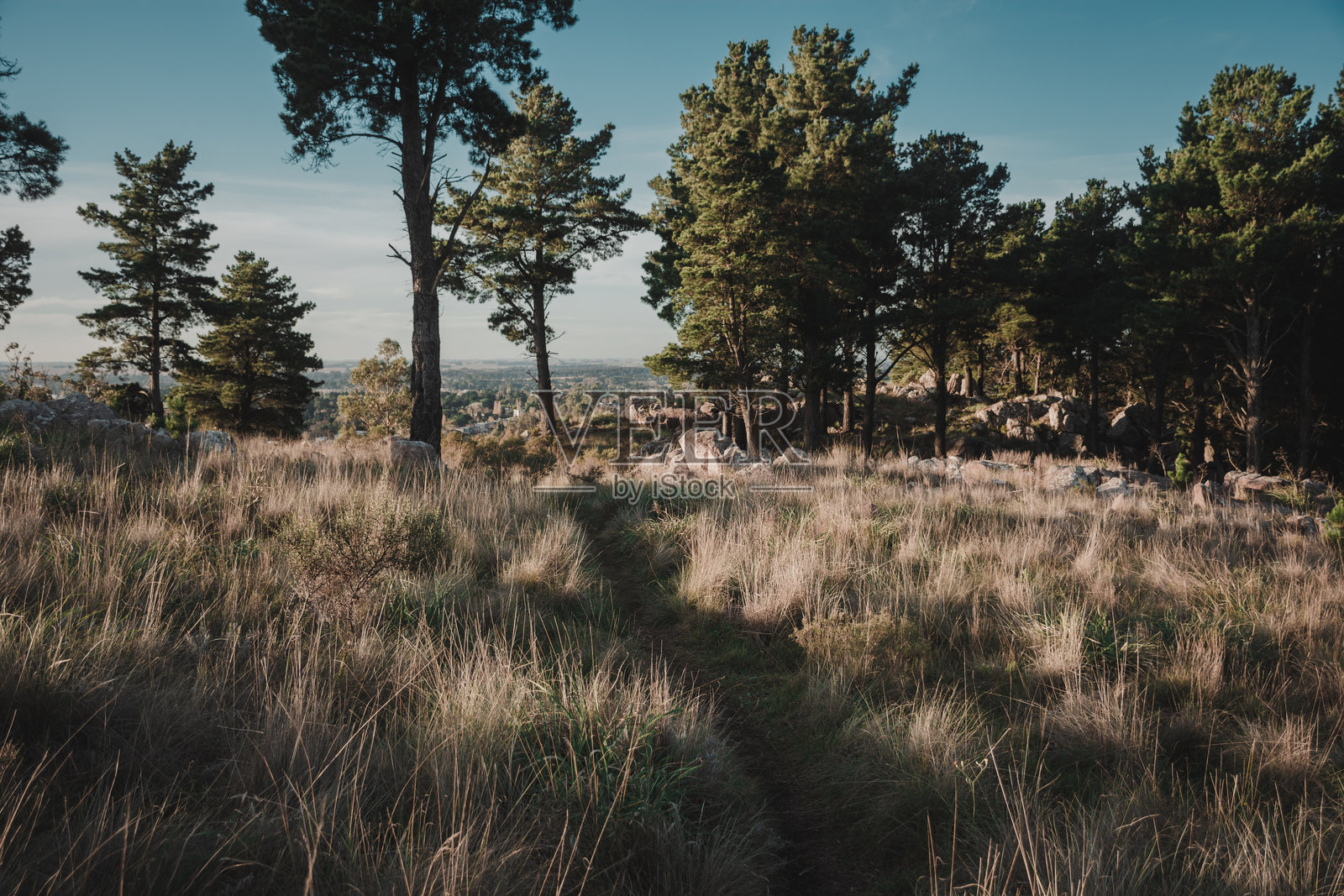拉丁裔男子在山林中徒步旅行，背着带雨罩的背包，戴着帽子。照片摄影图片