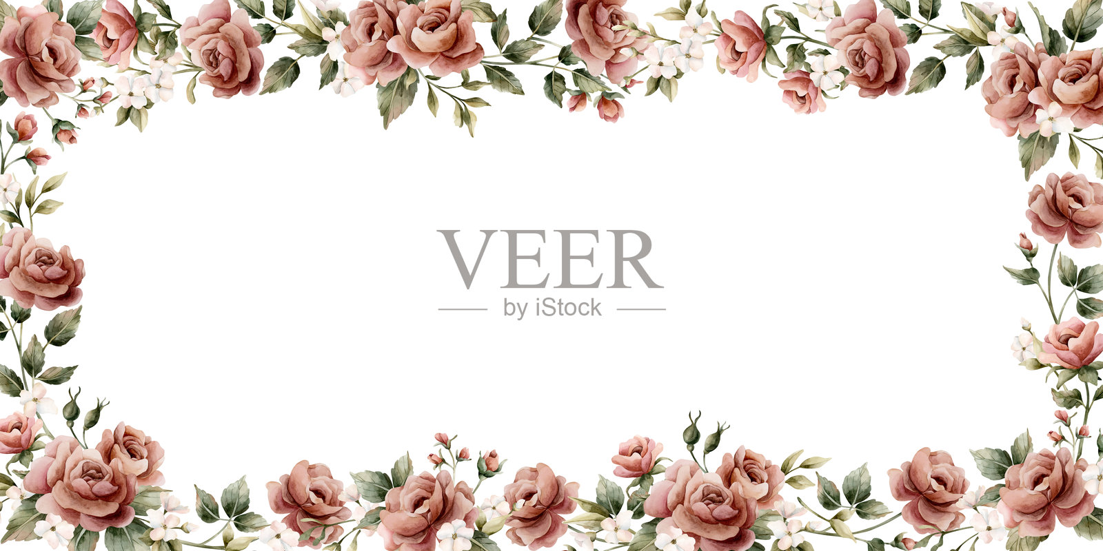 玫瑰花框 灰粉色花园花卉矩形排列 水彩手绘花卉孤立插图插画图片素材