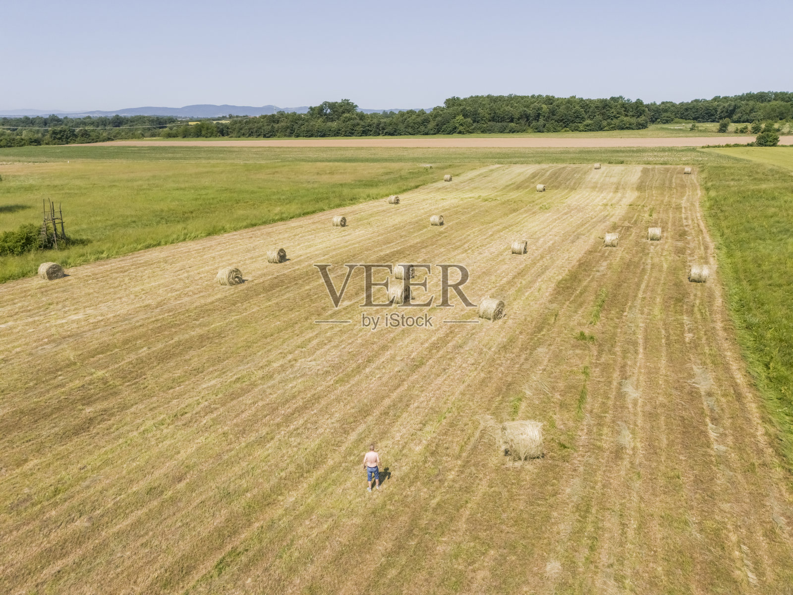 赤裸上身的农民在他的干草农田里照片摄影图片