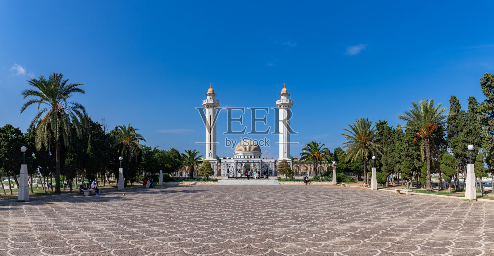 哈比布·布尔吉巴陵墓照片摄影图片