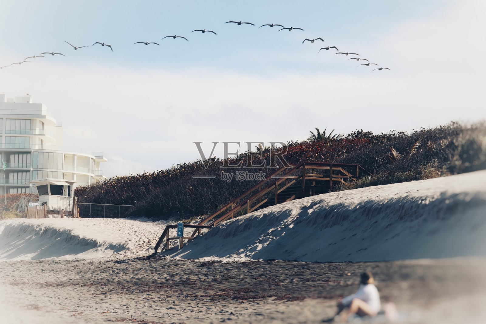 V字形队形照片摄影图片